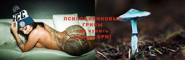 скорость Арсеньев
