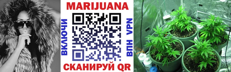 Купить закладки  Николаевск  Конопля гибрид 