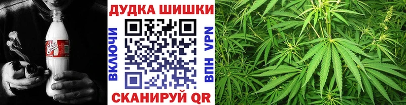 Каннабис Amnesia Николаевск